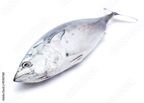 Raw fish, bonito, isolated on white photo