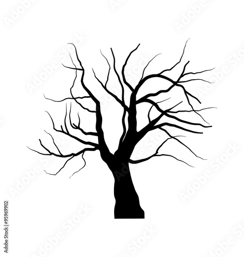 Sketch of dead tree without leaves , isolated on white backgroun