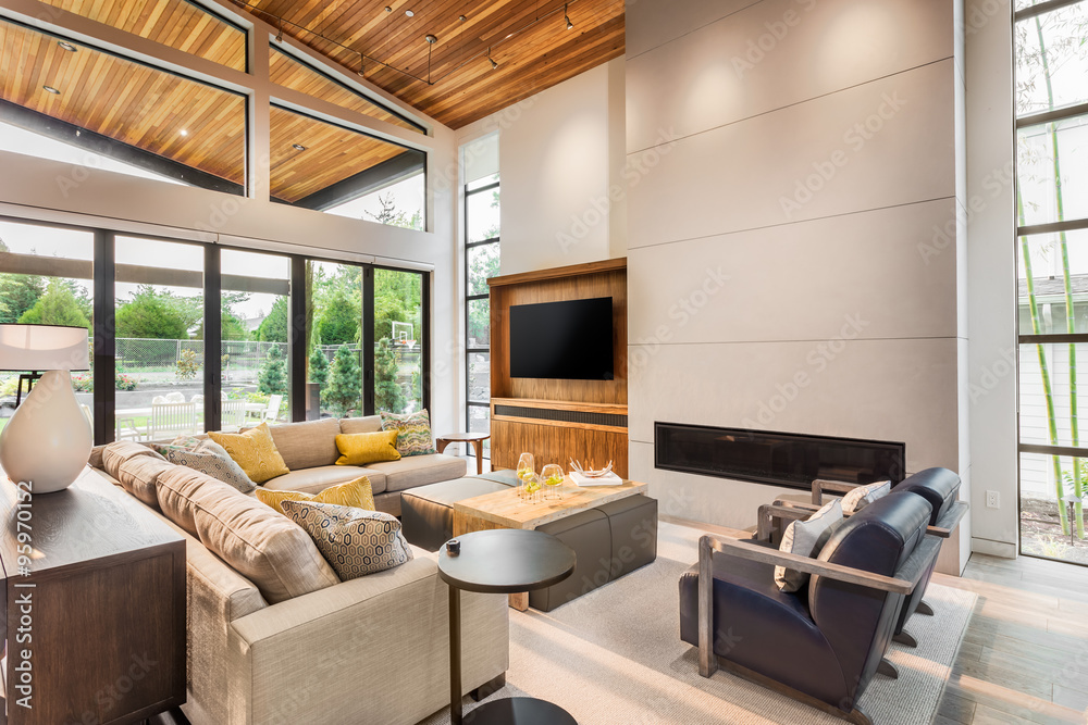 Luxury Modern Living Room With Fireplace