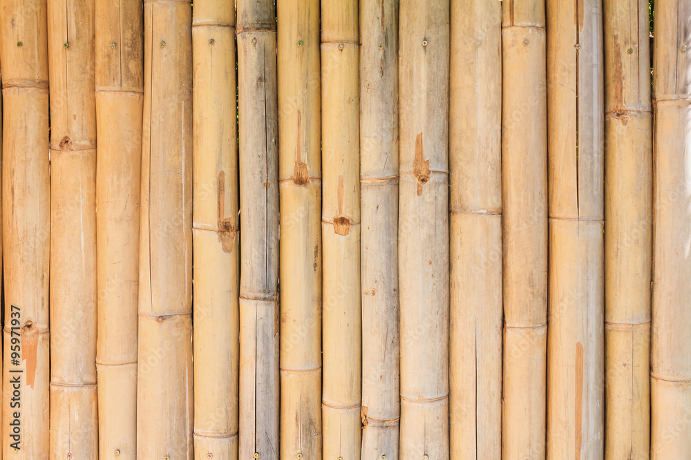 Fototapeta premium bamboo fence background