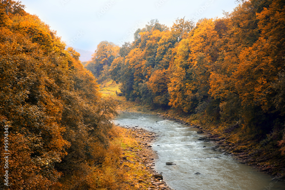 Mountain river flowing through forest