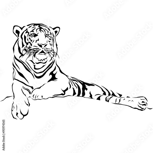 Tiger sitting, black and white, vector