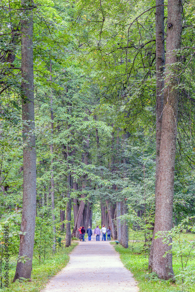 Group of people walking down the avenue in park Group of people walking down the avenue in park