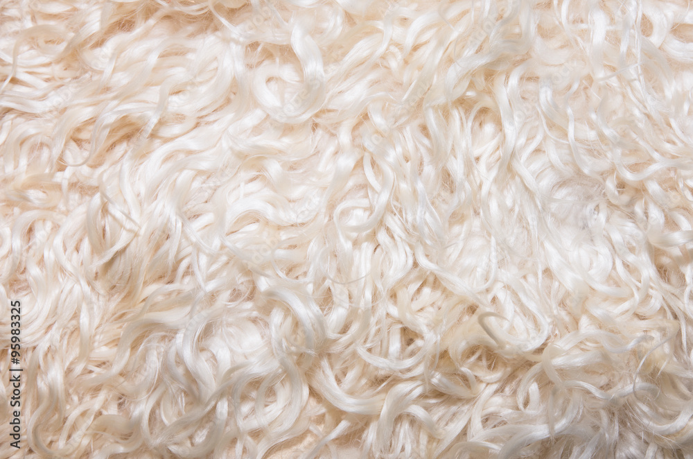 Background of staples of white sheep wool Background of staples of white sheep wool