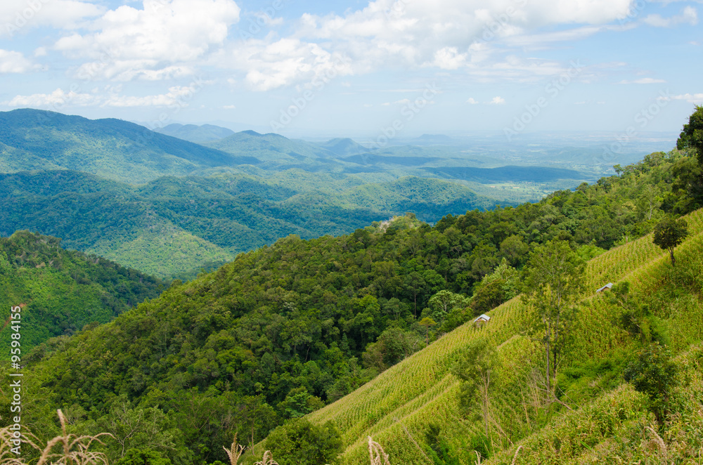 Mountain landscape. Vietnam nature image