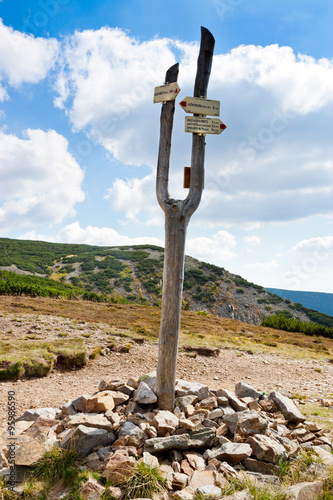  Upa moorland near Snezka peak, Krkonose mountains, Czech republ photo