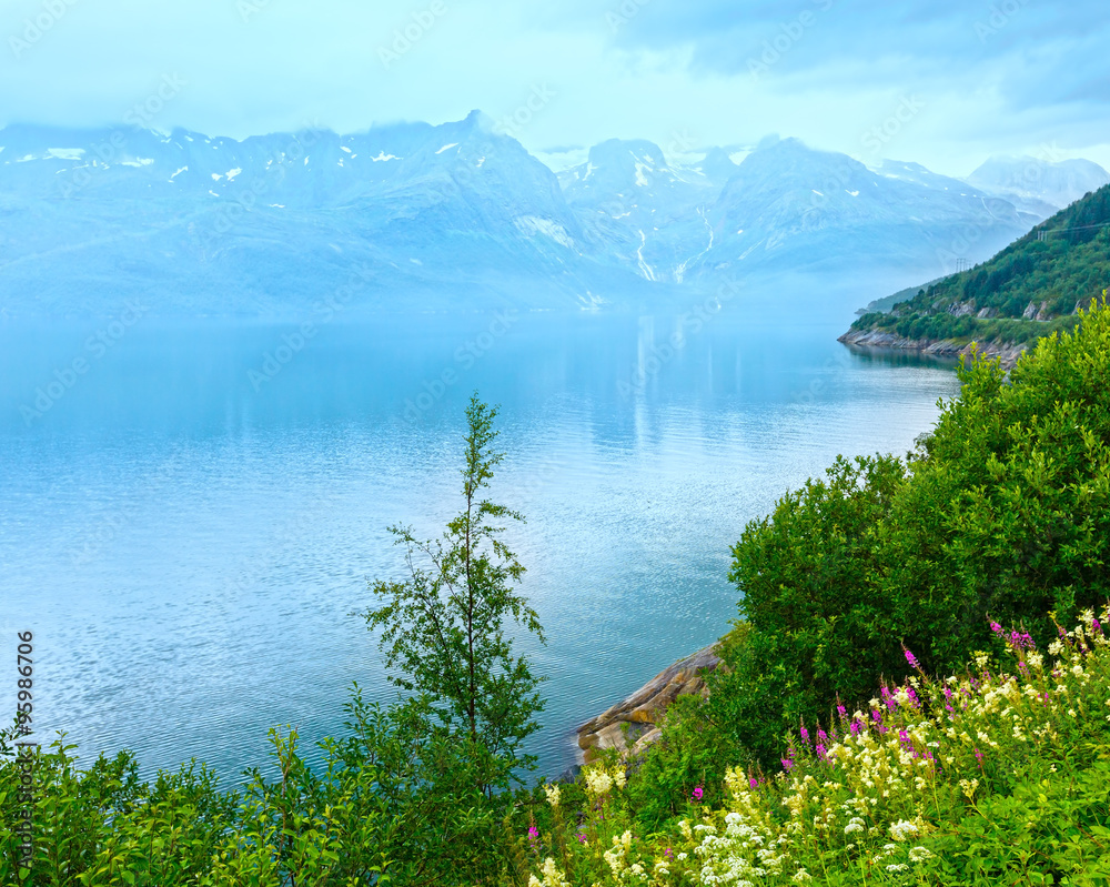 Naklejka premium Fjord summer cloudy view (Norway)