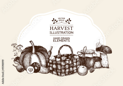 Vector card design for Thanksgiving day with ink hand drawn autumn illustration. Harvest template