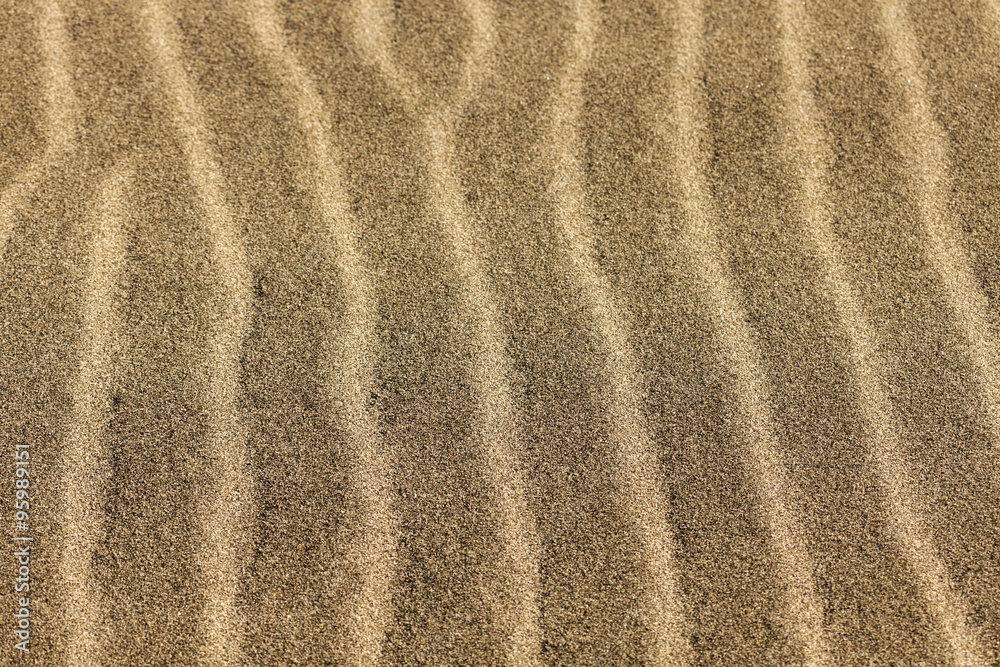 Sand Dunes National Park Sand Dunes National Park