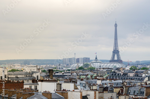 Eiffel Tower and Grand Palais with Paris skyline