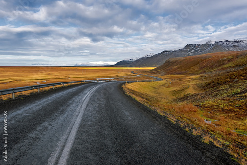 Road through lava field, near village Vik, South Iceland