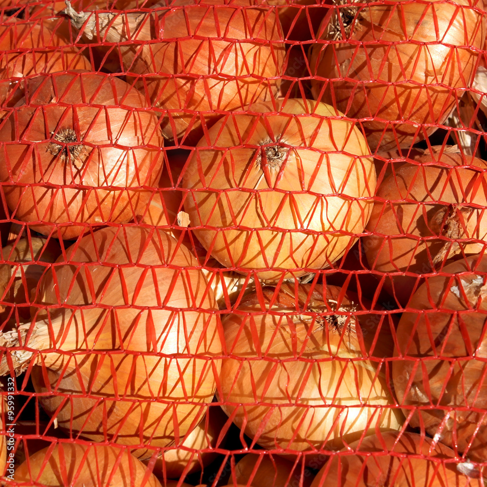 Onions in orange mesh Onions in orange mesh
