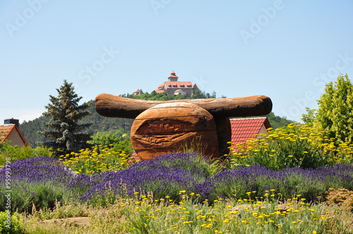 Wachsenburg bei Holzhausen / Thüringen photo