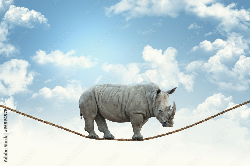Fototapeta premium rhino on rope