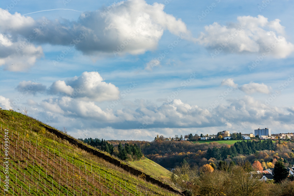 German vineyard on a beautiful autumn day