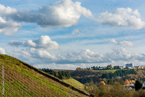 German vineyard on a beautiful autumn day