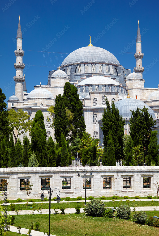 Fototapeta premium The Suleymaniye Mosque
