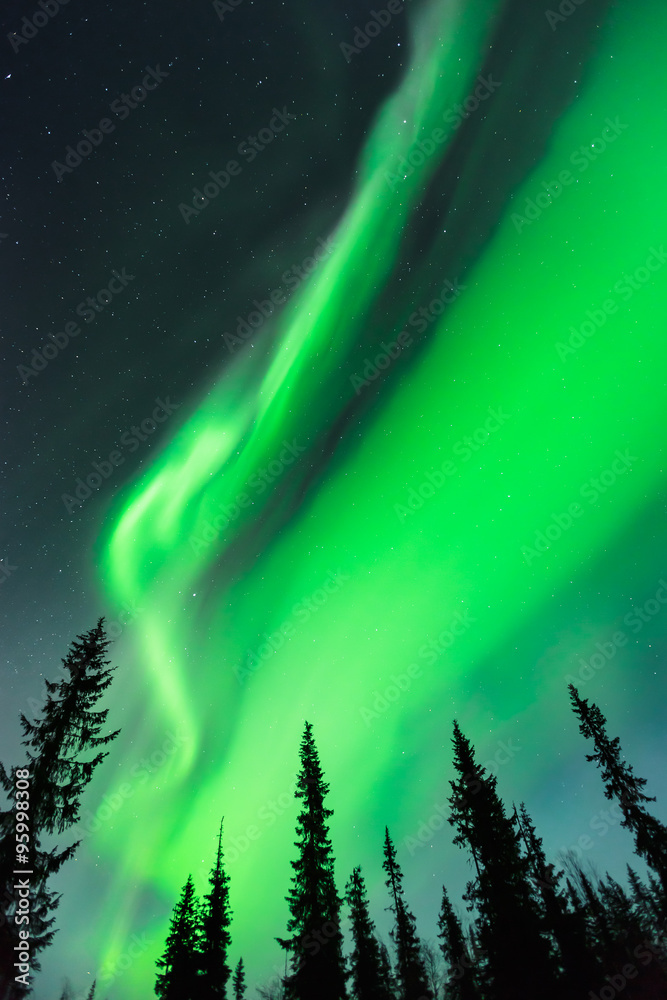 Print　Northern　the　lights　(Aurora　borealis)　in　sky　Photo　Art
