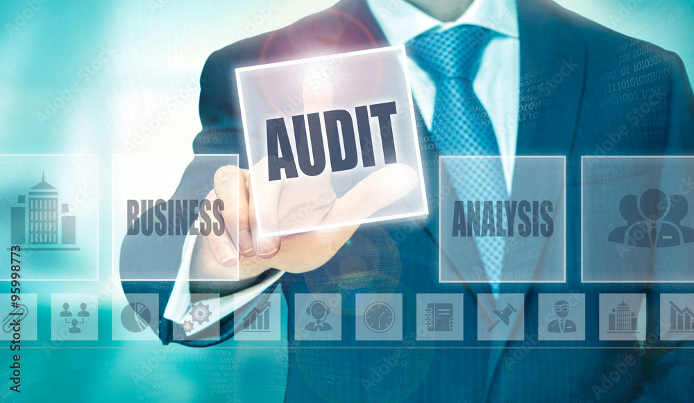 Audit Concept