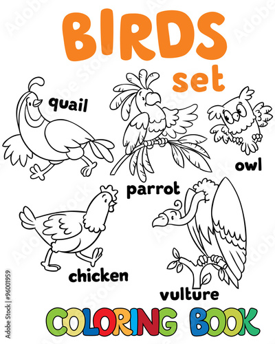 Coloring book with birds