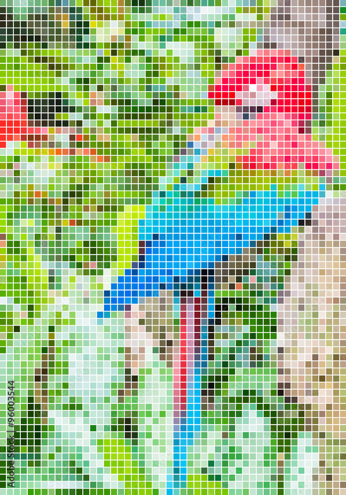 a mosaic of photos of parrot a mosaic of photos of parrot