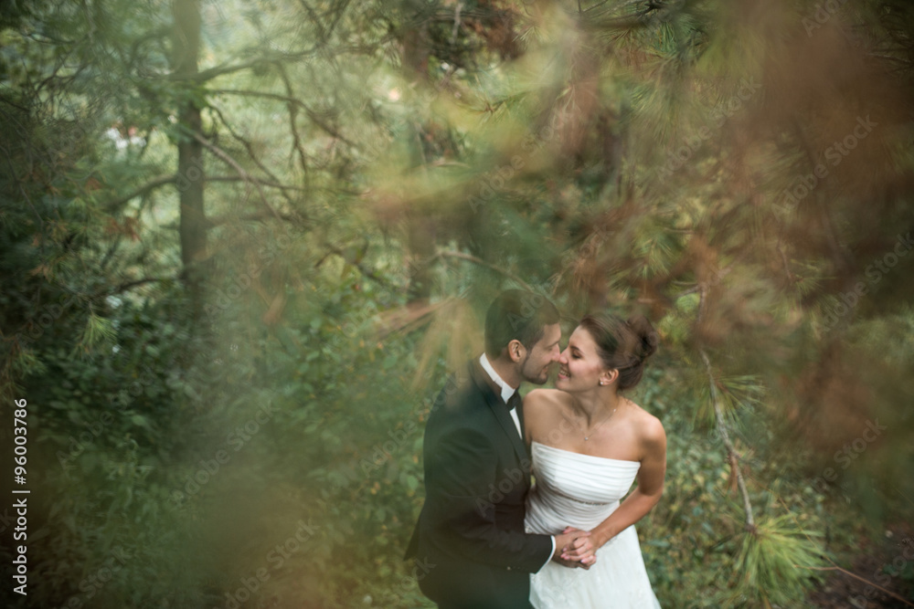 bride and groom dance together in the woods bride and groom dance together in the woods