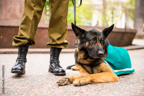 Fototapeta Naklejka Na Ścianę i Meble -  Police man and his dog at the city