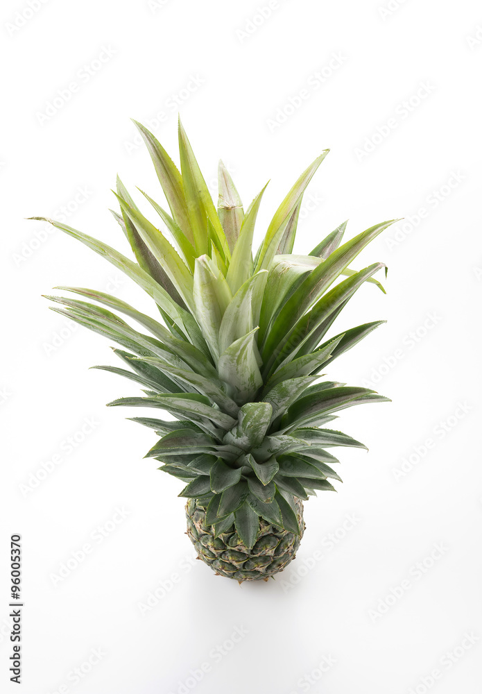 fresh pineapple fresh pineapple