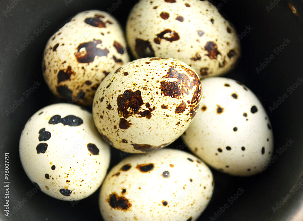 the quails eggs