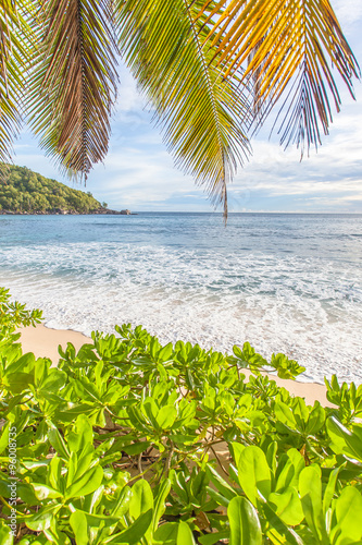 plage des Seychelles sous les cocotiers, anse Takamaka 