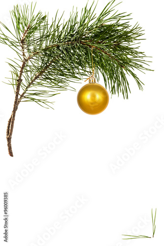 Christmas toy on pine branch