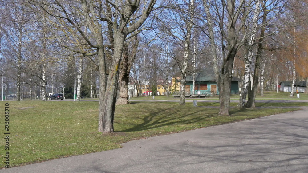 Tall birch trees on the road side in a park in the Tallin. The park is great for relaxing and walking in the morning Tall birch trees on the road side in a park in the Tallin. The park is great for relaxing and walking in the morning