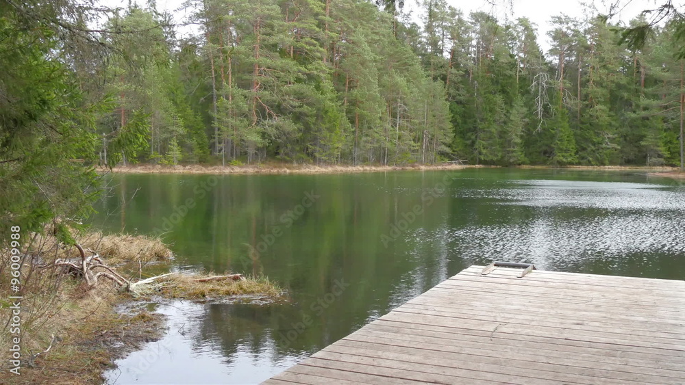 The big ledge on the edge of the lake where people can jump into the lake using the ledge. Trees surrounding the lake and some plants too The big ledge on the edge of the lake where people can jump into the lake using the ledge. Trees surrounding the lake and some plants too