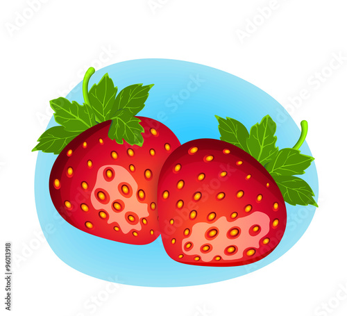 Vector berry illustration. Detailed drawing of strawberry 
