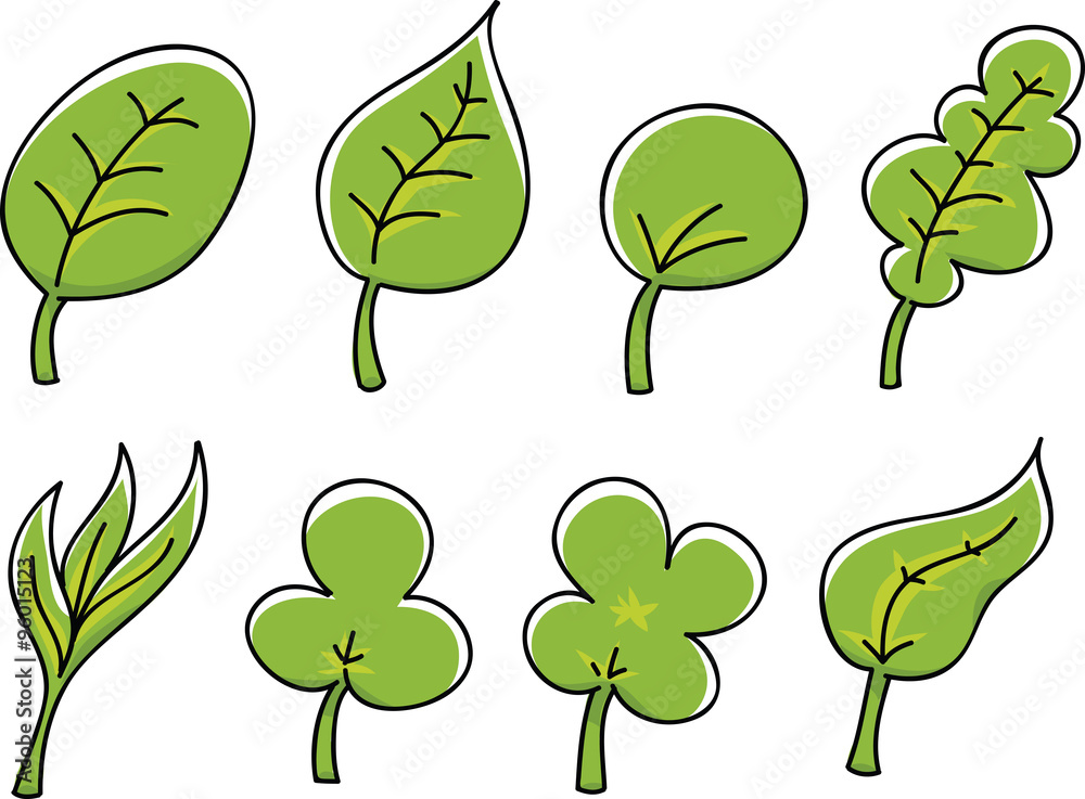 A set of a variety of different green, cartoon leaves.