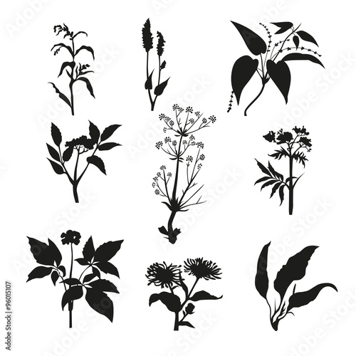 Silhouette. Graphic design-vector illustration.