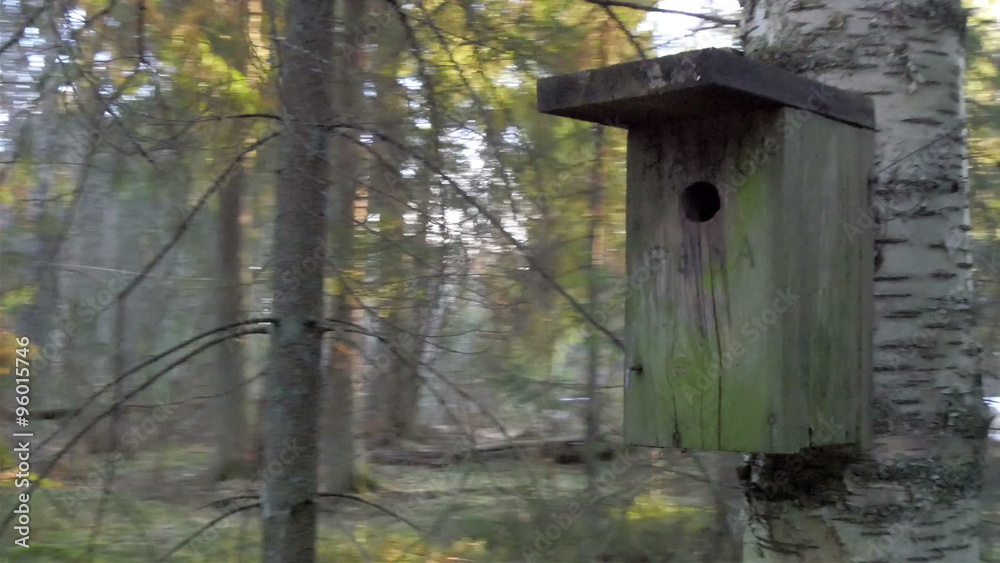 Wooden small house on the tree trunk. The small house is for the birds to stay inside Wooden small house on the tree trunk. The small house is for the birds to stay inside
