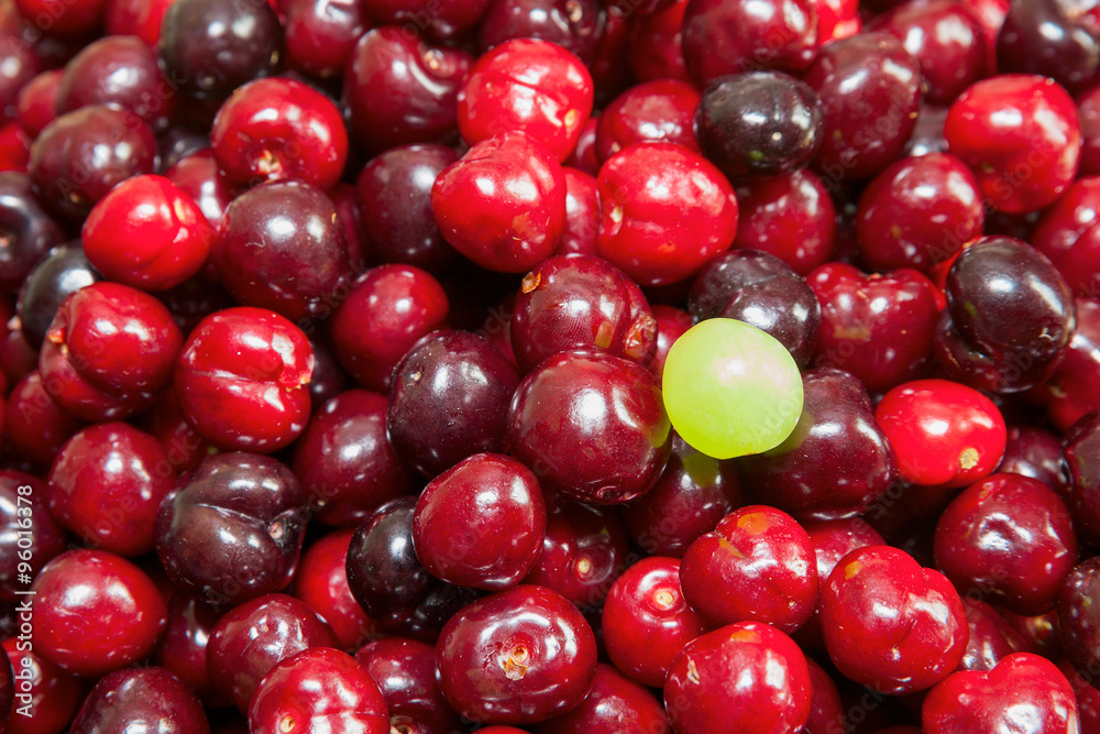Kirschen und Weinbeere Kirschen und Weinbeere