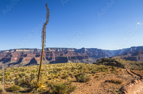Canvas Print Grand Canyon Landscape Overview on Trail