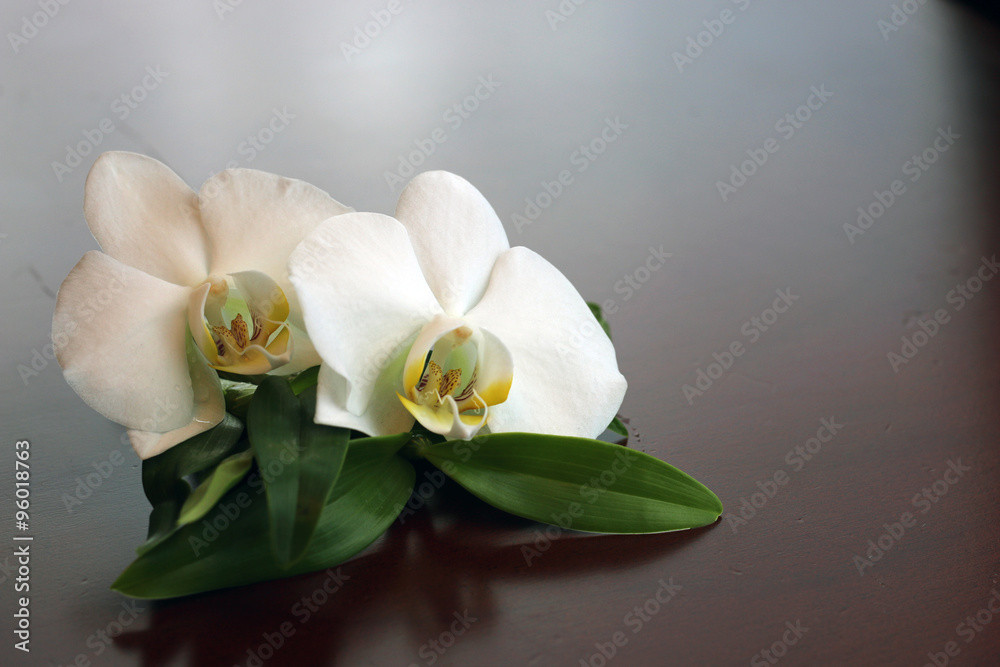 Spa orchid green towel Spa orchid green towel