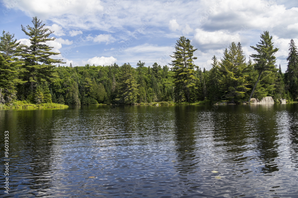 Obraz premium Algonquin Parc nature in Canada