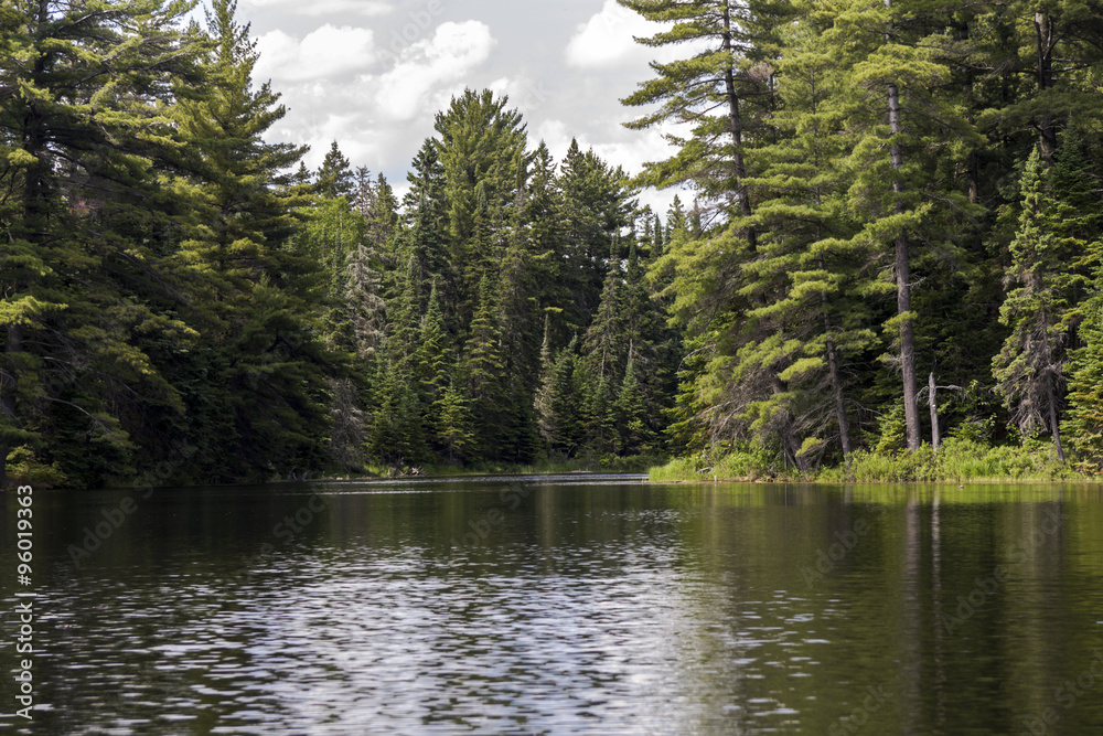 Fototapeta premium Algonquin Parc nature in Canada