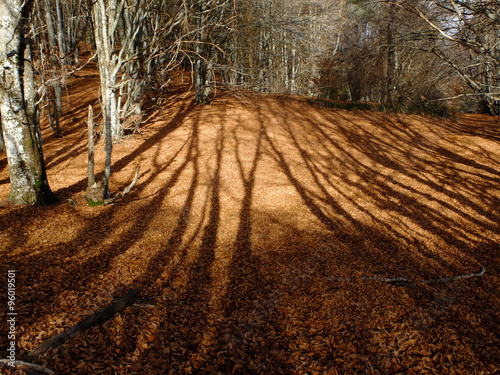 Puys des gouttes et Chopine - Auvergne photo