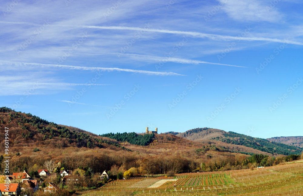 Andlau castle panoramic view through the vineyard