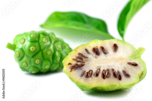 Great morinda fruit, Morinda citrifolia, Family Rubiaceae, Central of Thailand
