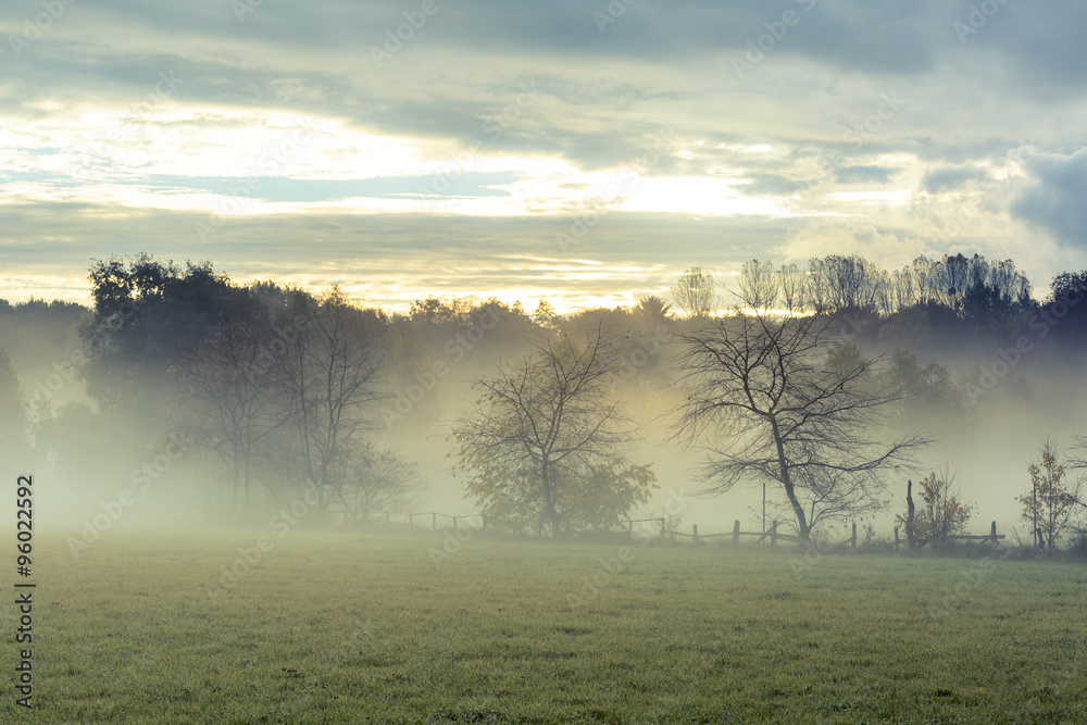 Herbstmorgen Herbstmorgen