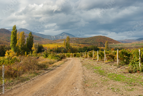 Mountain landscape with earth road among vineyards in Crimean peninsula
