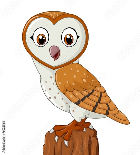 Cartoon barn owl isolated on white background
