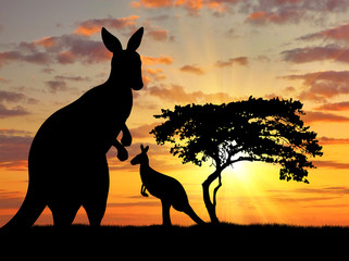 Wandcirkels Kangoeroe Silhouet van kangoeroe met joey  © Prazis Images