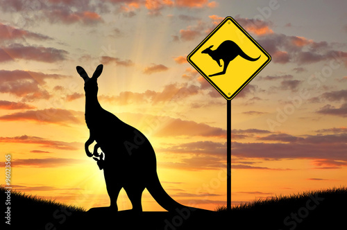 Silhouette of a kangaroo with a baby